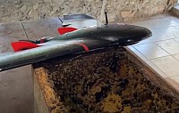 Ebee for bees